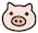pig